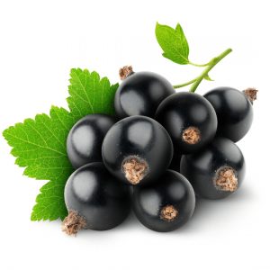 Ezee-Quit 80PG/20VG - Blackcurrant