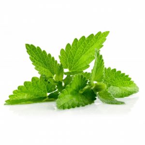 Ezee-Quit 80PG/20VG - Double Menthol