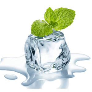 Ezee-Quit 80PG/20VG - Ice Mint